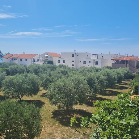 Apartment Tomislav Vir Εξωτερικό φωτογραφία